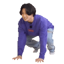 Jungroar emoji