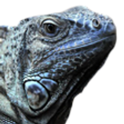 Iguana emoji