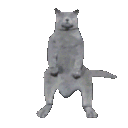 Catnaenae emoji