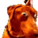 Shocked Dog emoji