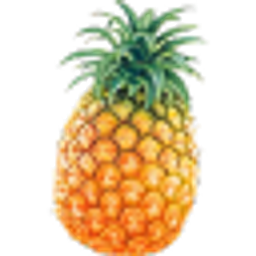 Pineapple emoji