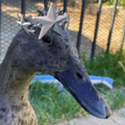 Star Duck emoji