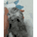 Cat Stressed emoji maker
