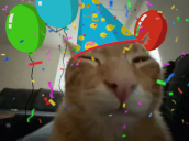 Happybuhrday emoji