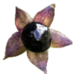 Belladonna emoji