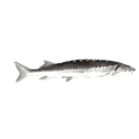 Joelcheck emoji