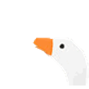Duckhonkyhonk emoji