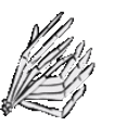 Skeleton Clap emoji