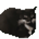 Maxwell Cat emoji