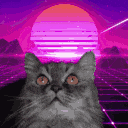 Cat Vapor emoji