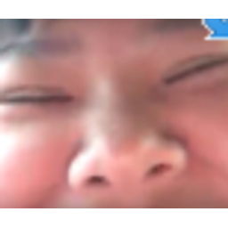 Pigbabygay emoji
