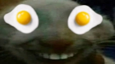 Eggsdd emoji