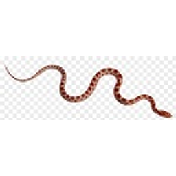 Cornsnake emoji