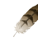 Feather Quill emoji