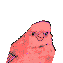 Annoyed Bird Party emoji