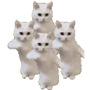 Cattimeparty emoji