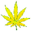 Raindbow Weed emoji