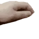 Petpet emoji