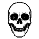 Skull360 emoji