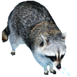 Raccoon 2q emoji