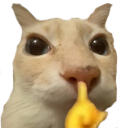 Callaito emoji