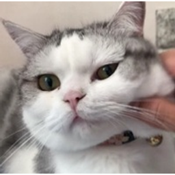 Meoww emoji