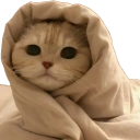 Cozycat emoji