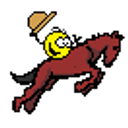 Rodeo emoji