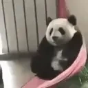 Pandachill emoji