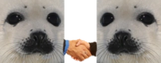 Sealthedeal emoji