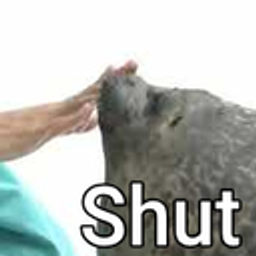 Seal Shut emoji