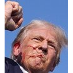 Trump Fight Fight Fight emoji