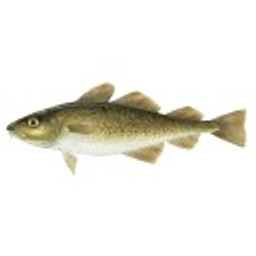 Cod emoji
