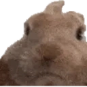 Vibeoff emoji