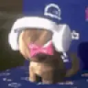 Kittybanger emoji