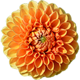 Dahlia Flower emoji