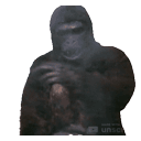 Ape Flippin emoji