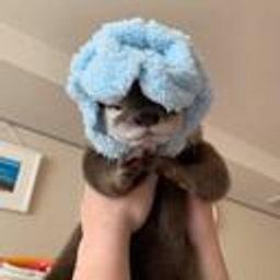 Otterblanky emoji