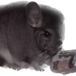 Chinchilla Cash Nibble emoji