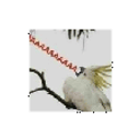 Aaaaa Cockatoo emoji