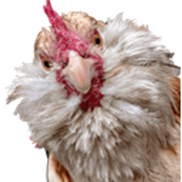 Chickenhello emoji
