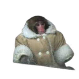 Coatmonkey emoji