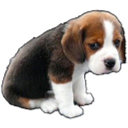 Sad Puppy emoji