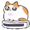Cat Roomba emoji