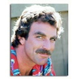 Tom Selleck Smirk emoji