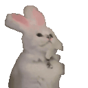 Cat Bunny Headbang Fast emoji