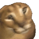 Floppas emoji