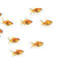 Fishies emoji