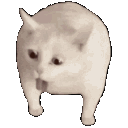 White Cat Curious Stretch emoji