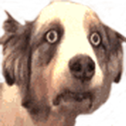 Trauma Dog emoji